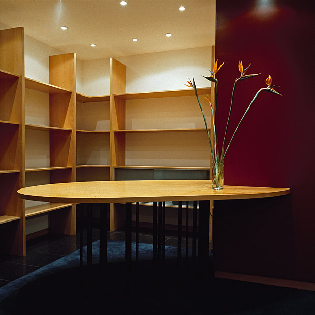 Fotografia - Renovação de loja — Túlipa Negra