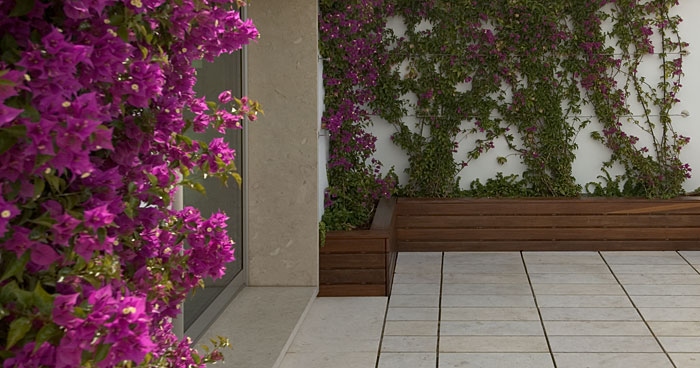 Fotografia - Recuperação de apartamento