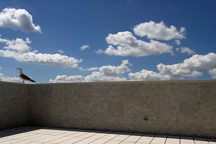 Fotografia - Recuperação de apartamento